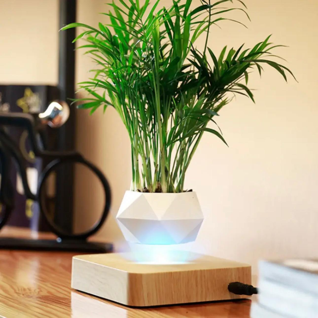 AirMagic Levitating Bonsai Pot - Eco-Friendly Floating Planter