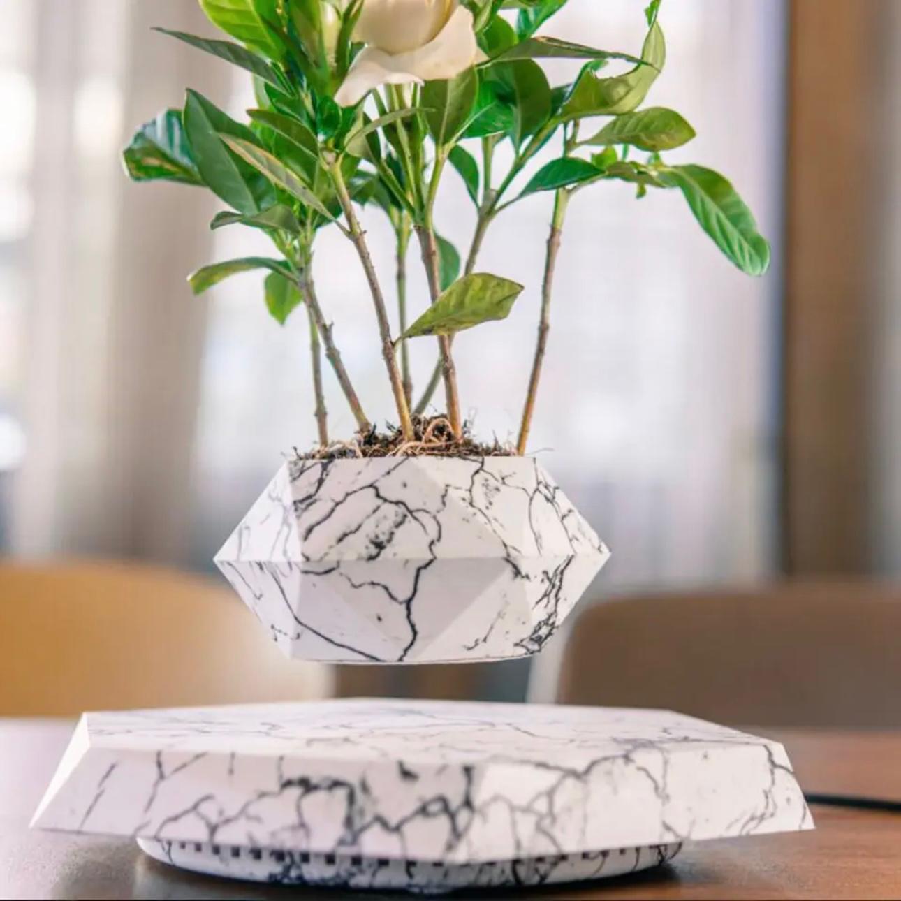 AirMagic Levitating Bonsai Pot - Eco-Friendly Floating Planter
