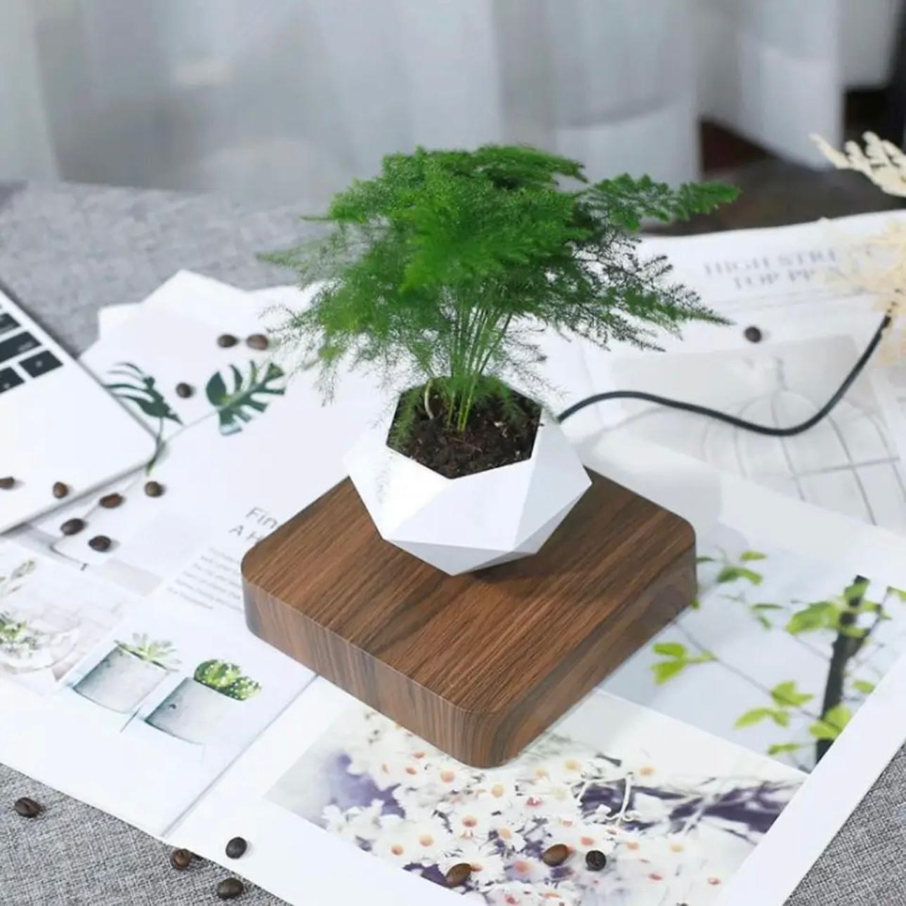 AirMagic Levitating Bonsai Pot - Eco-Friendly Floating Planter