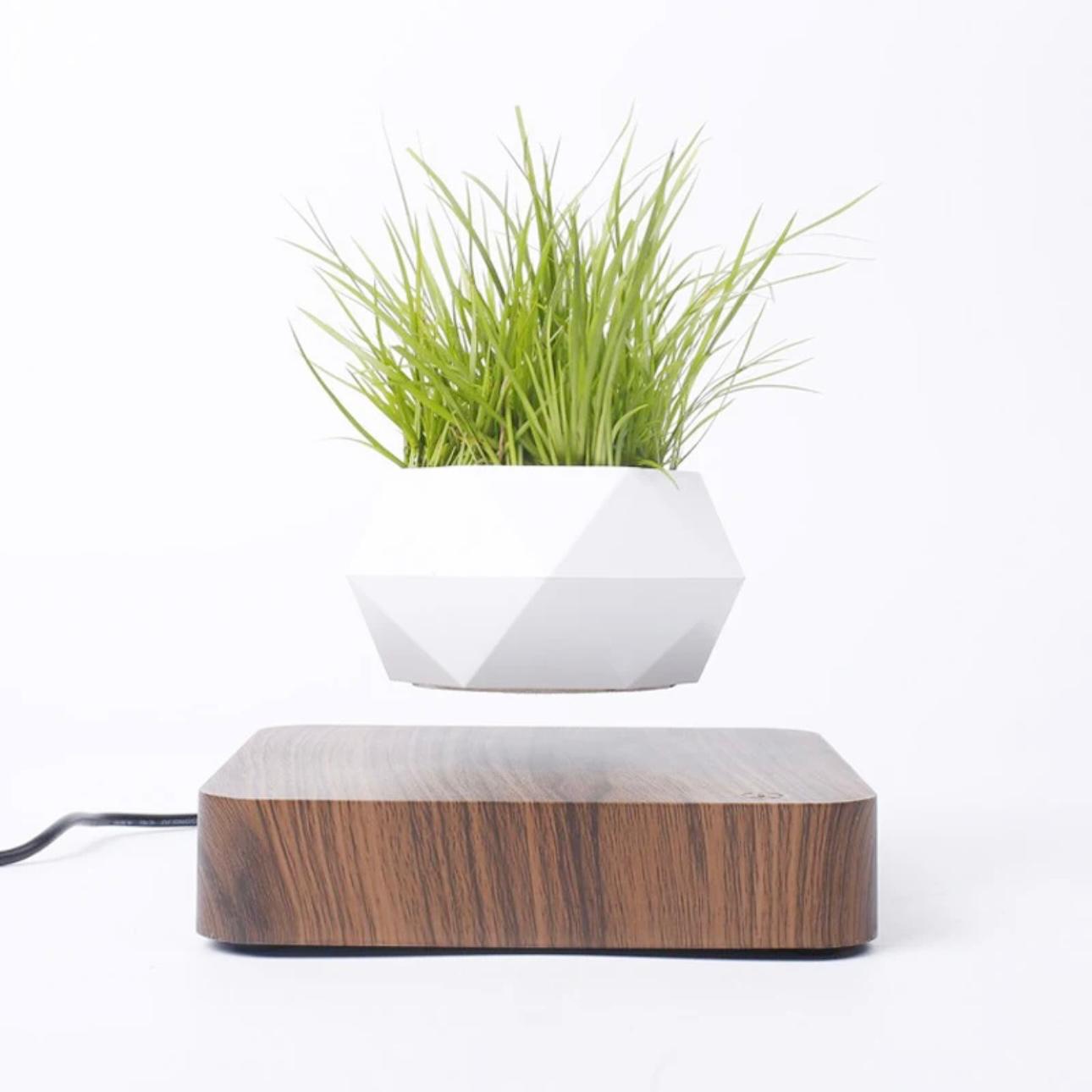 AirMagic Levitating Bonsai Pot - Eco-Friendly Floating Planter