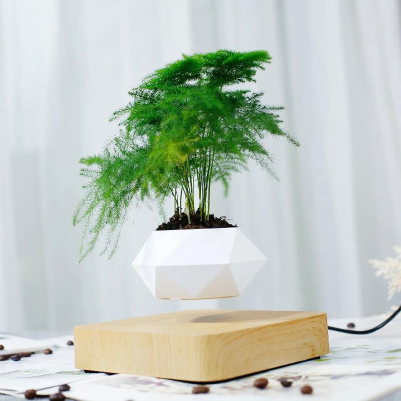 AirMagic Levitating Bonsai Pot - Eco-Friendly Floating Planter