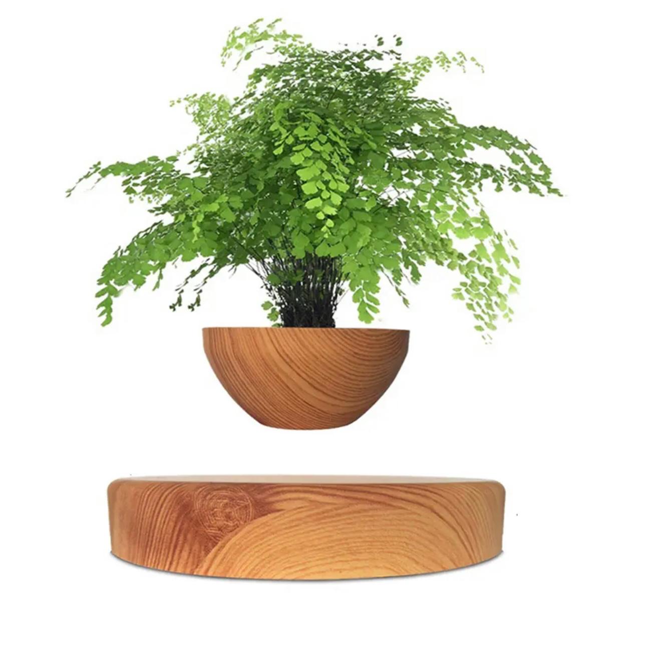 AirMagic Levitating Bonsai Pot - Eco-Friendly Floating Planter