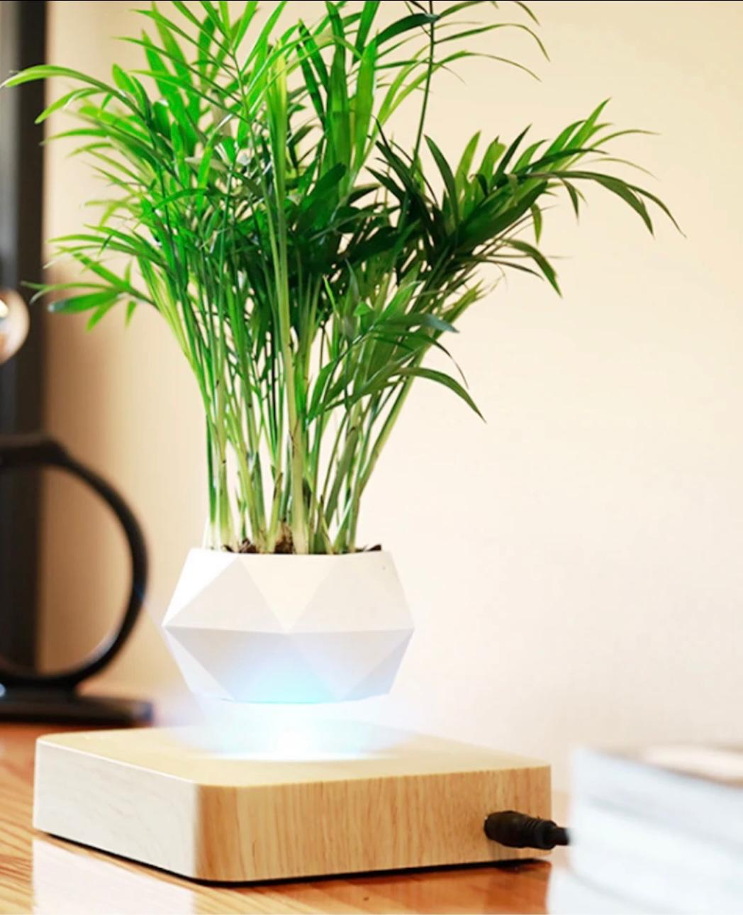 AirMagic Levitating Bonsai Pot - Eco-Friendly Floating Planter
