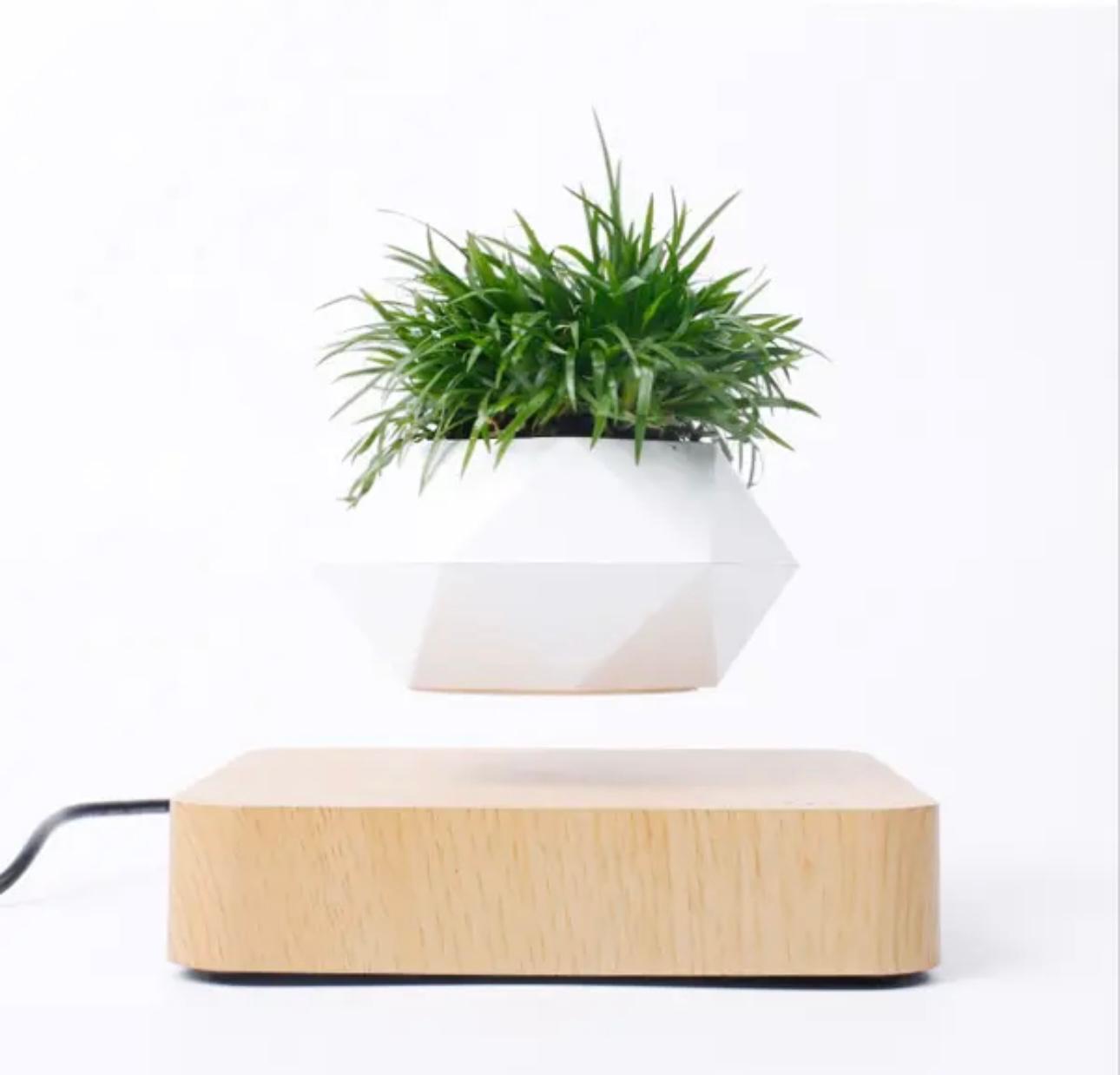 AirMagic Levitating Bonsai Pot - Eco-Friendly Floating Planter