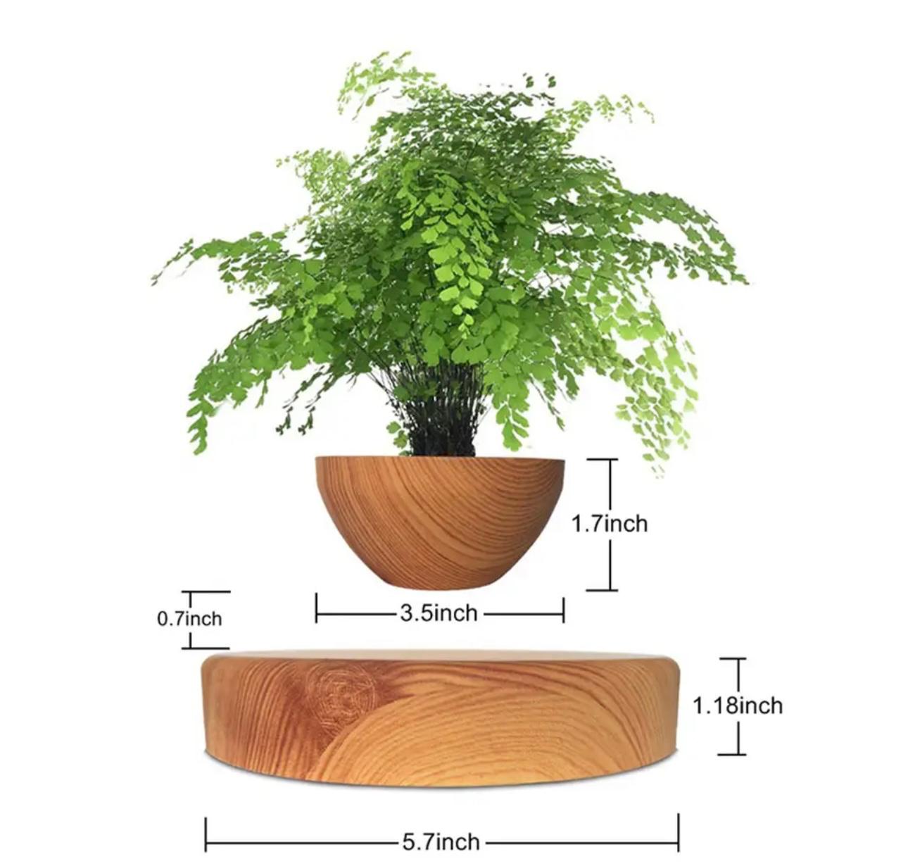 AirMagic Levitating Bonsai Pot - Eco-Friendly Floating Planter