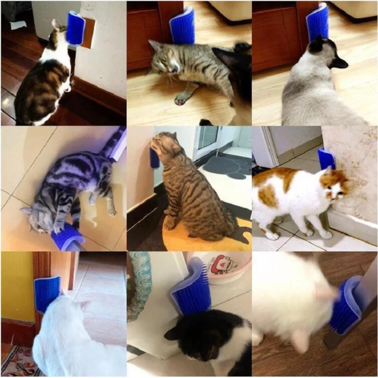 3-in-1 Cat Scratcher Massager - Ultimate Grooming & Comfort Tool